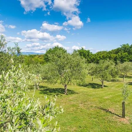 Mediterranean Luxury Jele