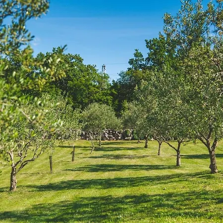 Mediterranean Luxury Jele * Dobrinj